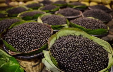 Secret power of acai berries